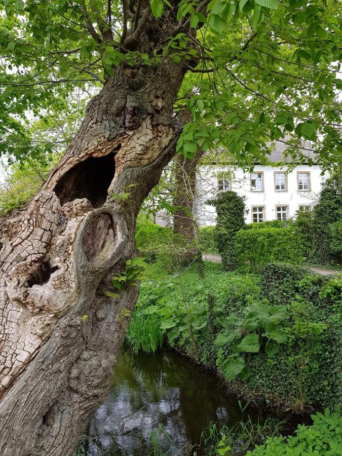 Ferienwohnung Varus Ostercappeln Luaran gambar